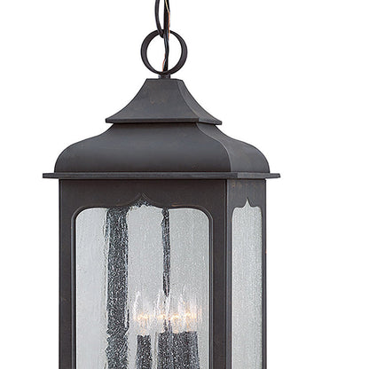 Henry Street Outdoor Pendant Light in Detail.