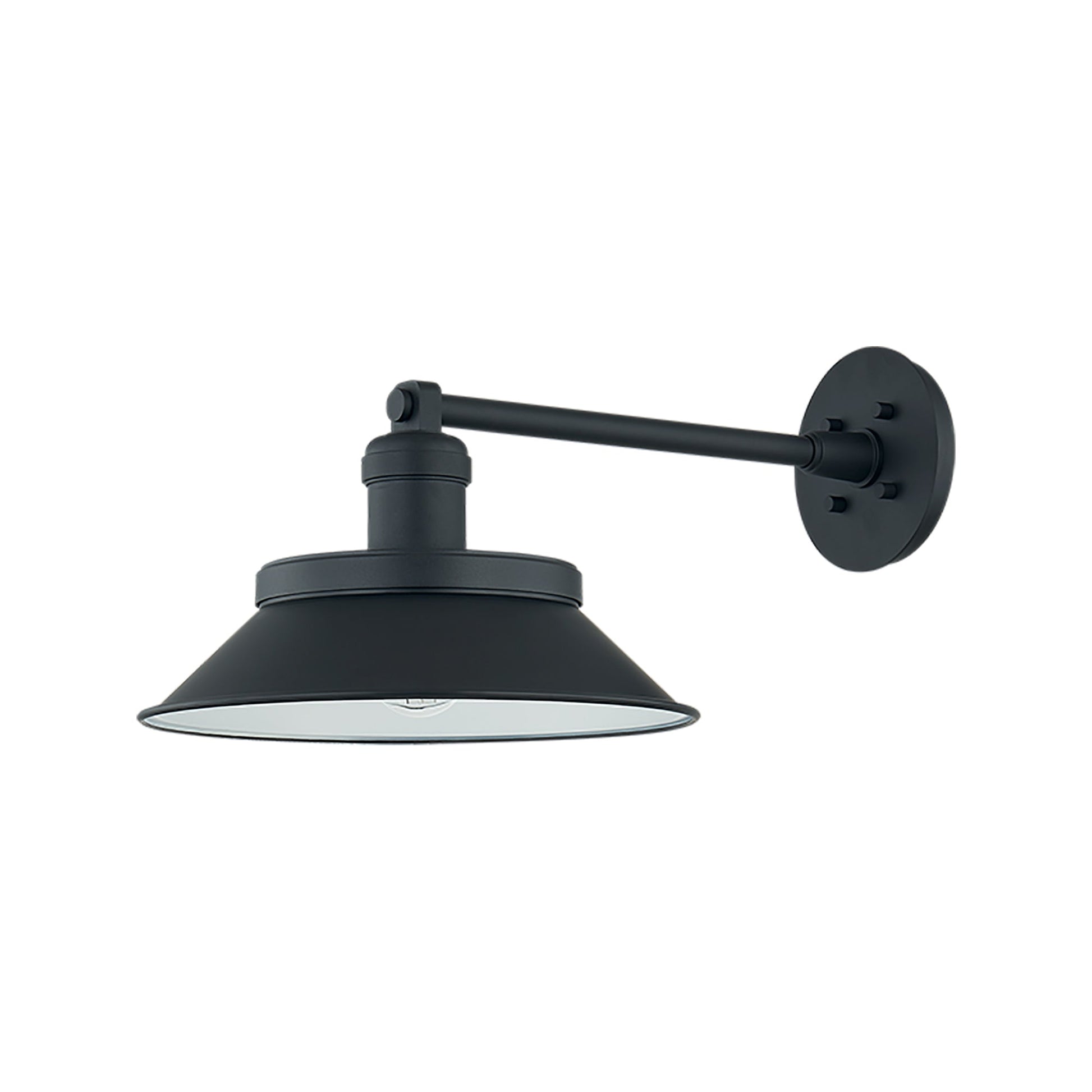 Kaspars Outdoor Wall Light (9.75-Inch).