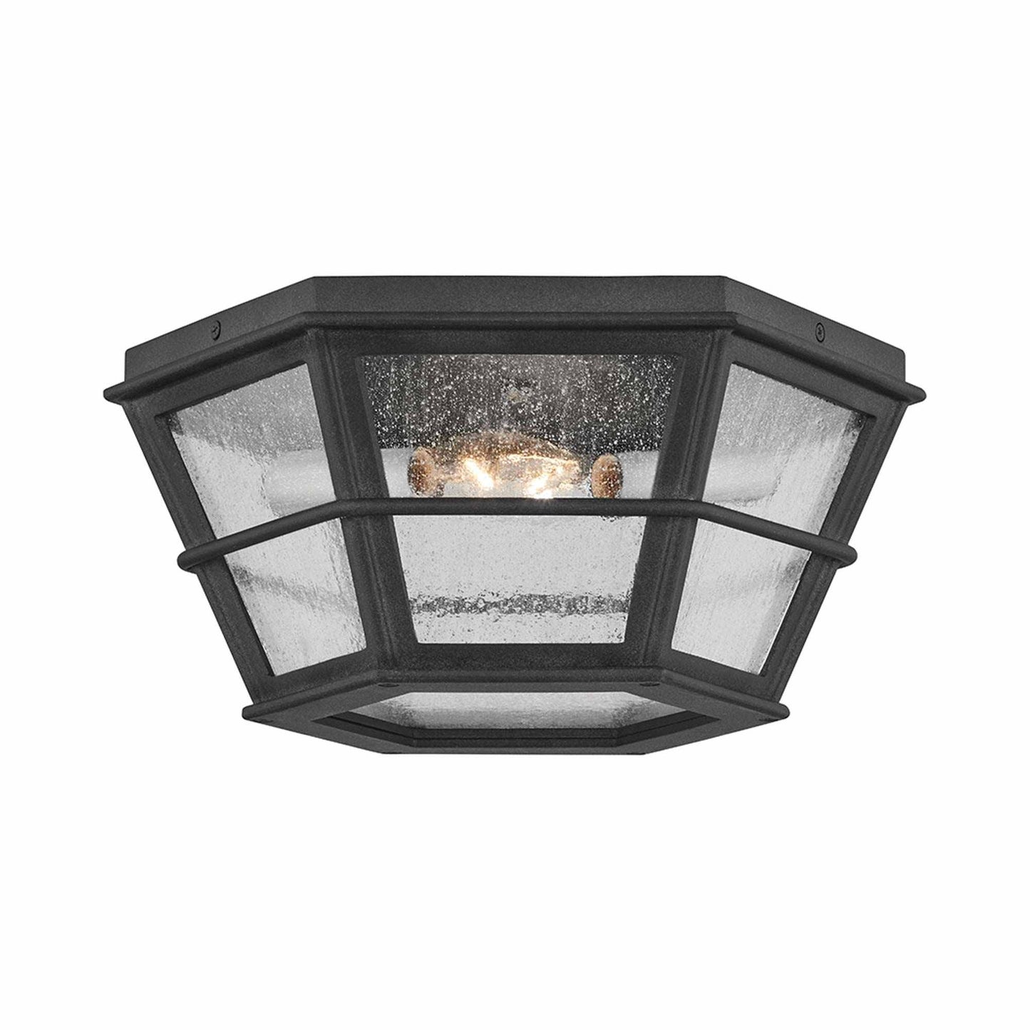 Lake County Outdoor Flush Mount Ceiling Light.