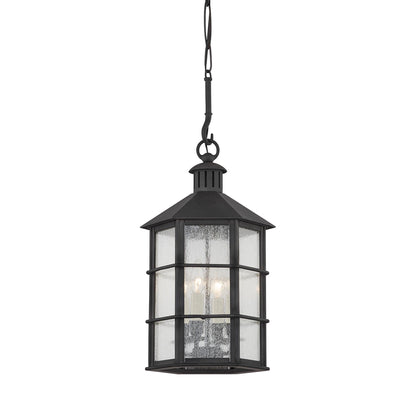 Lake County Outdoor Pendant Light.