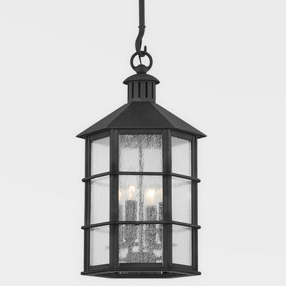 Lake County Outdoor Pendant Light in Detail.