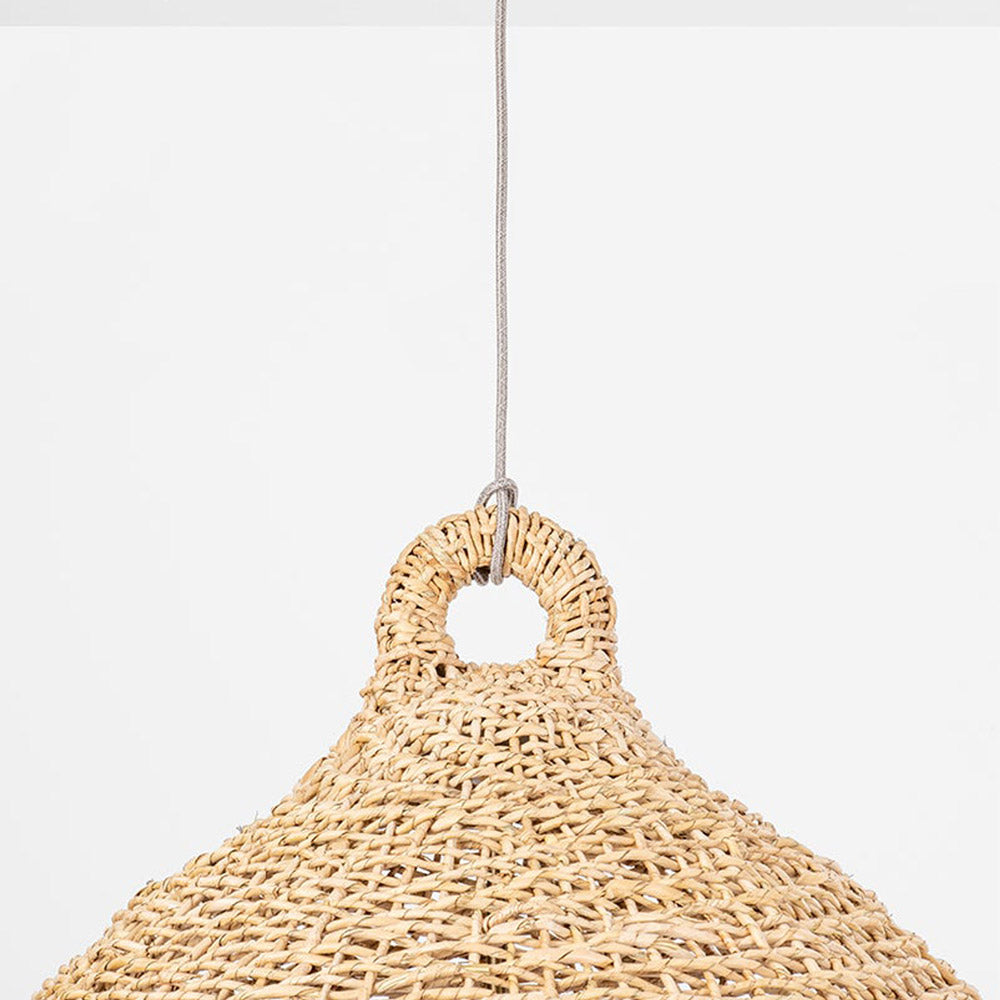 Lechlan Pendant Light in Detail.
