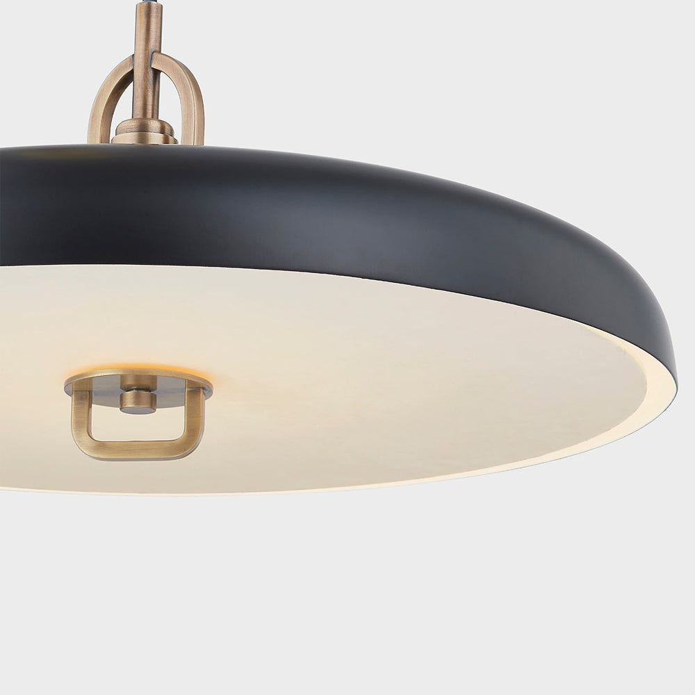 Plummet LED Pendant Light in Detail.