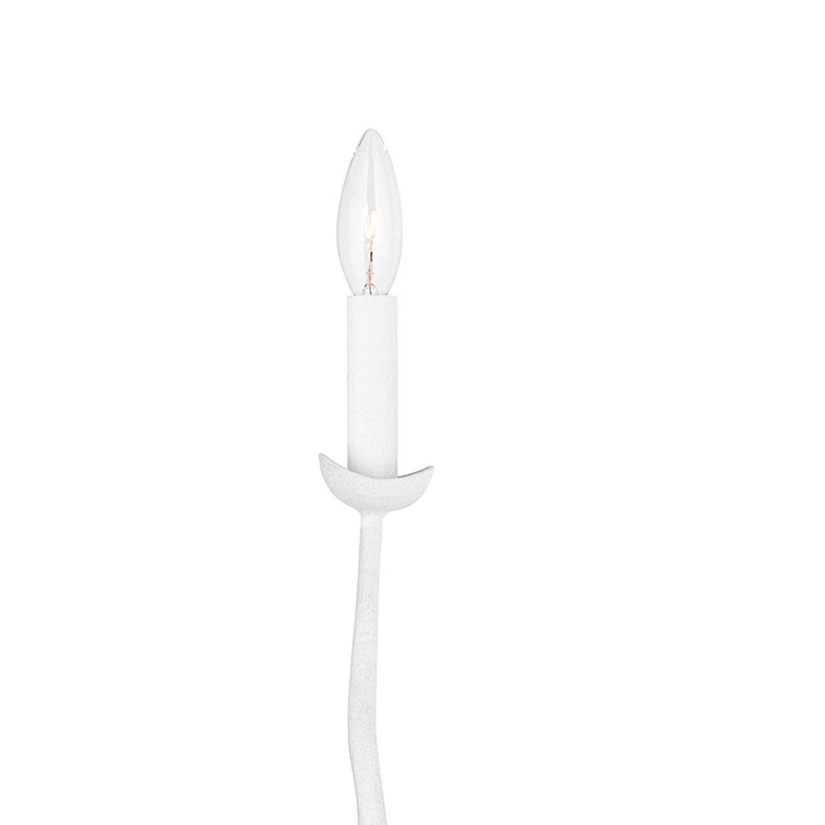 Reign Wall Light in Detail.
