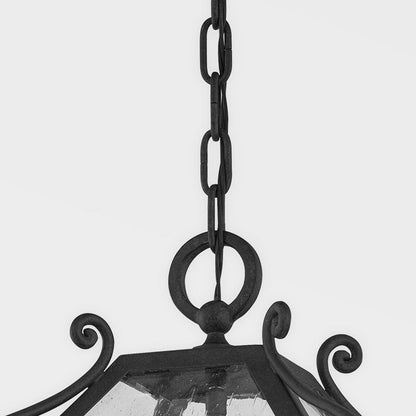 Santa Barbara County Outdoor Pendant Light in Detail.