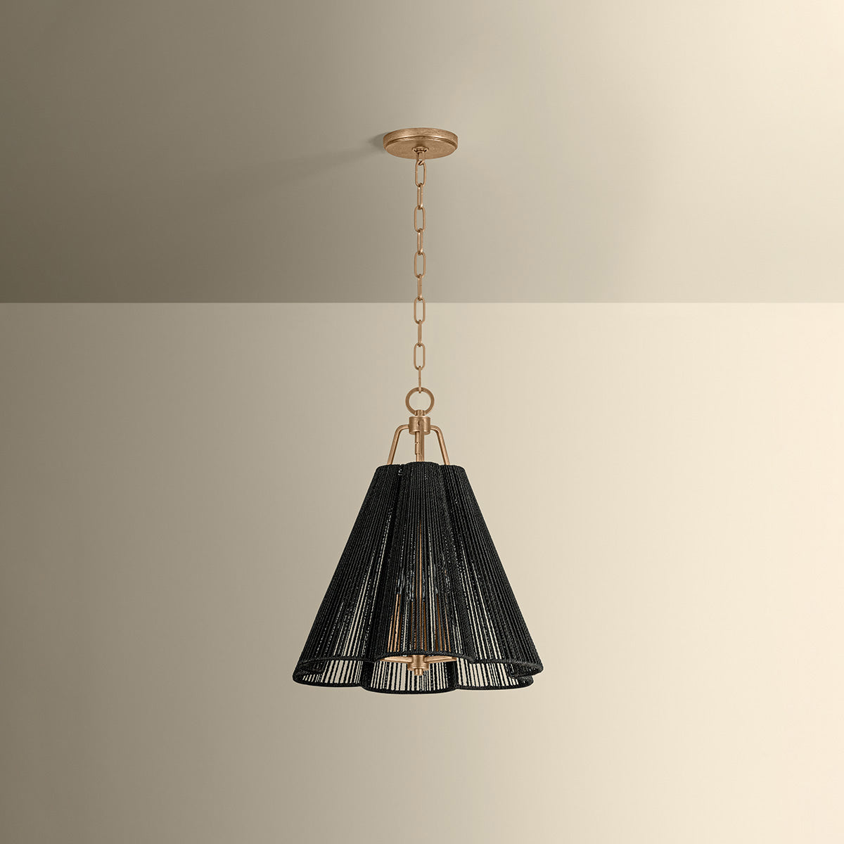 Sonoma Pendant Light in Detail.