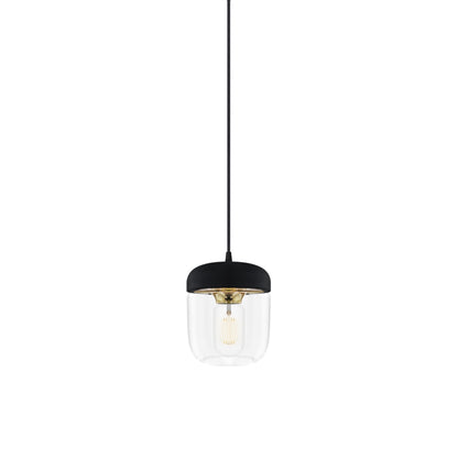 Acorn Pendant Light in Black/Polished Brass.