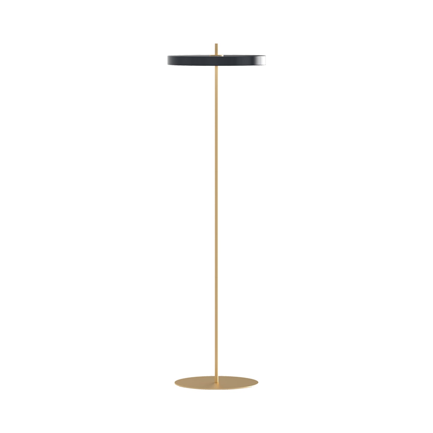 Asteria LED Floor Lamp in Anthracite Grey.