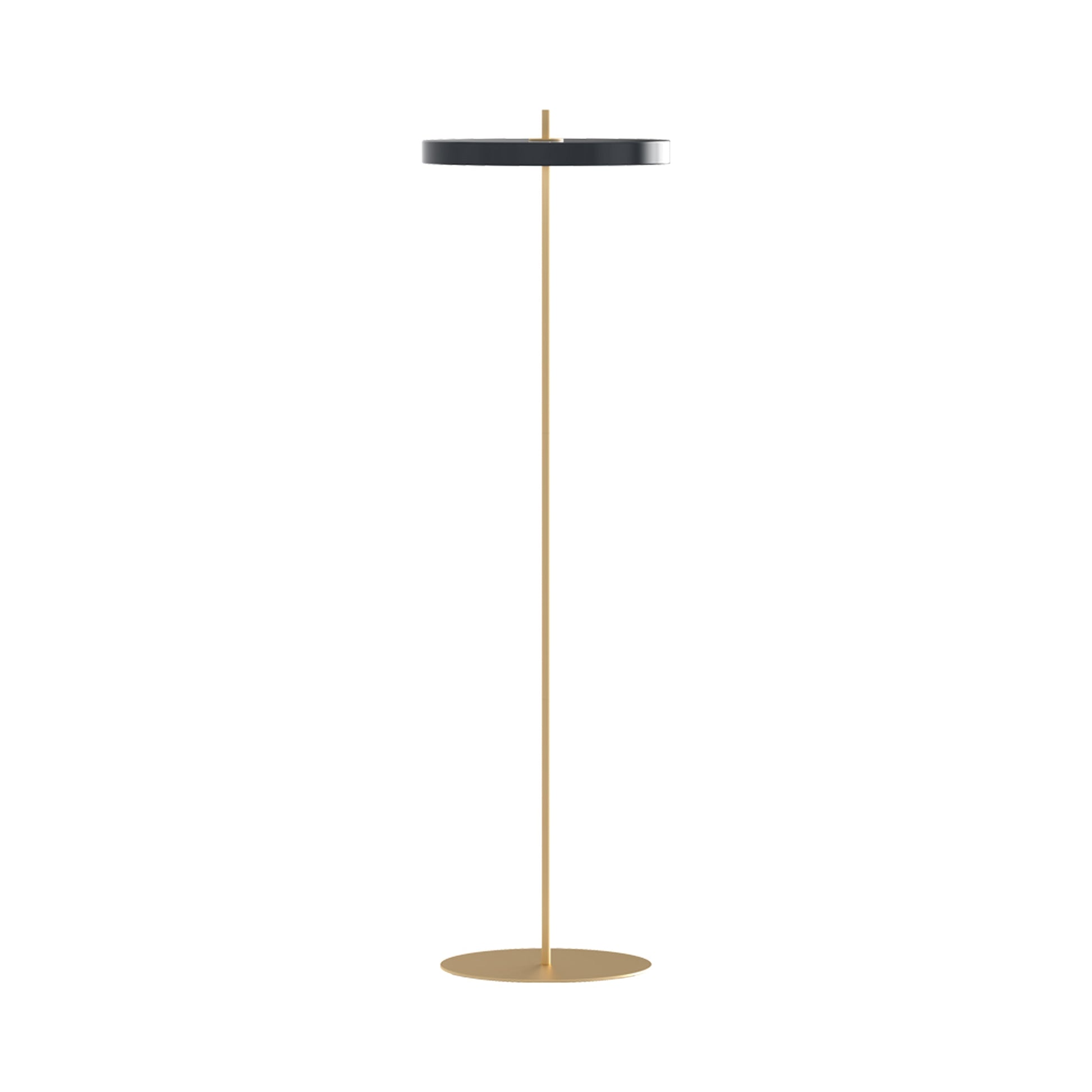 Asteria LED Floor Lamp in Anthracite Grey.