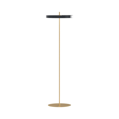 Asteria LED Floor Lamp in Anthracite Grey.