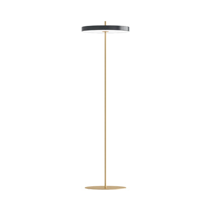Asteria LED Floor Lamp.