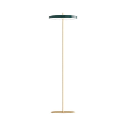 Asteria LED Floor Lamp in Detail.