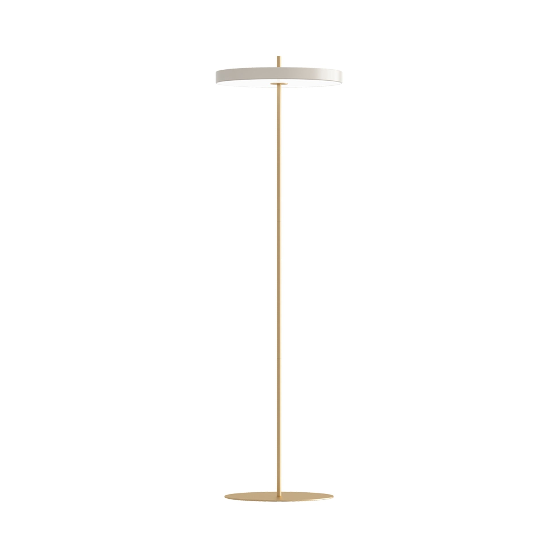 Asteria LED Floor Lamp in Detail.