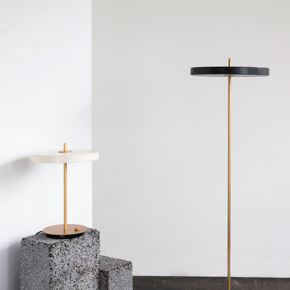 Asteria LED Floor Lamp in living room.