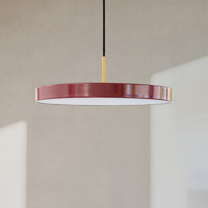 Asteria LED Pendant Light in Detail.
