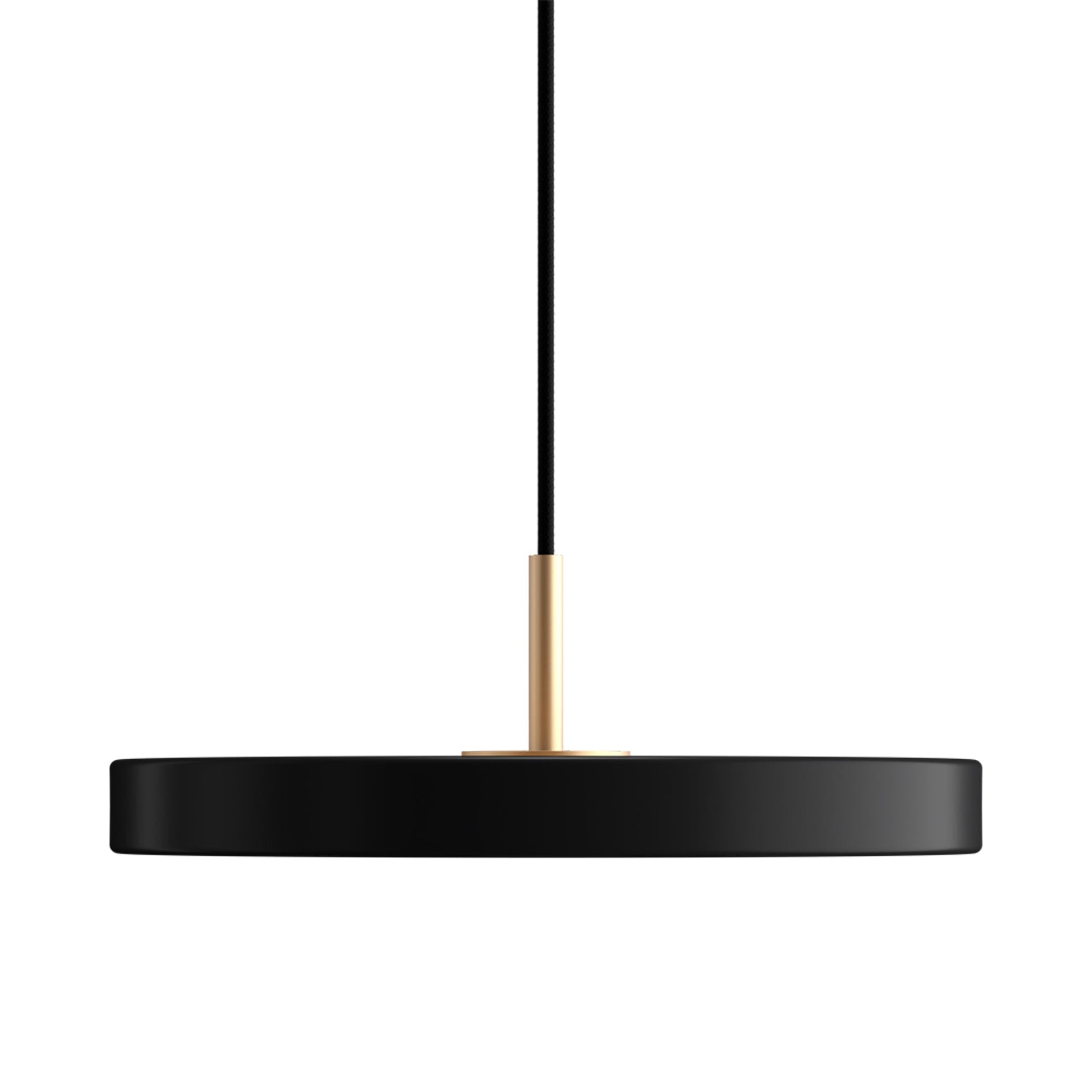 Asteria LED Pendant Light in Detail.