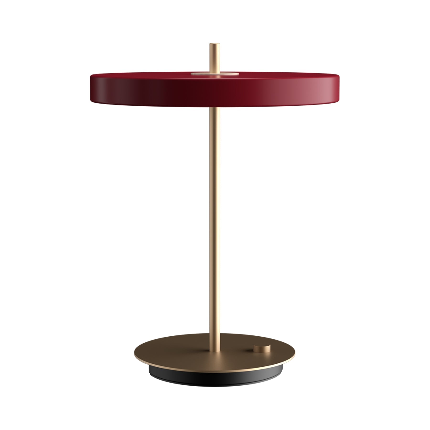 Asteria LED Table Lamp.