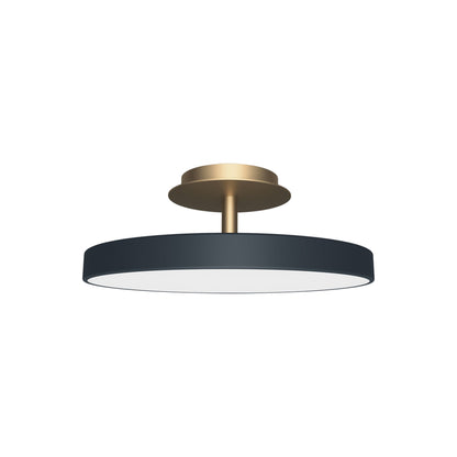 Asteria Up LED Flush Mount Ceiling Light in Anthracite Grey (16.9-Inch).