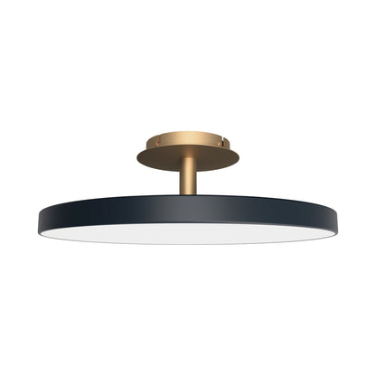Asteria Up LED Flush Mount Ceiling Light in Anthracite Grey (23.6-Inch).