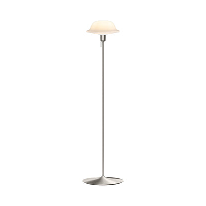Butler Floor Lamp in Brushed Steel.