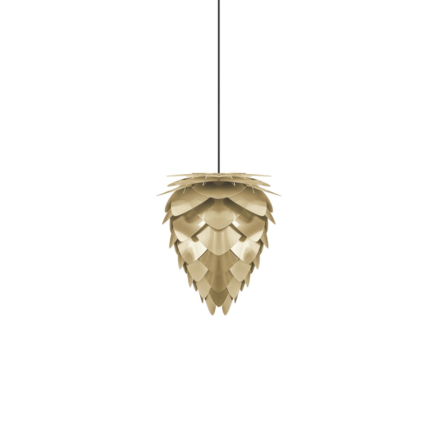 Conia Pendant Light in Brushed Brass/Black (11-Inch).