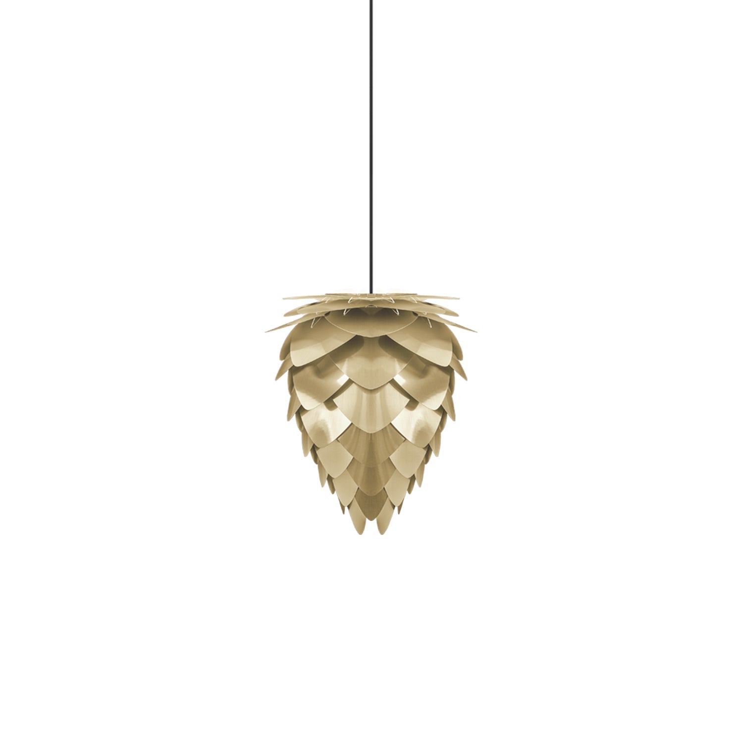 Conia Pendant Light in Brushed Brass/Black (11-Inch).