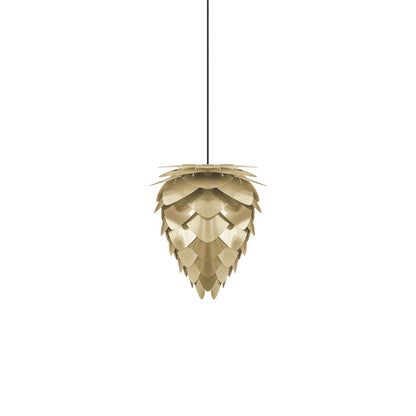 Conia Pendant Light in Brushed Brass/Black (11-Inch).