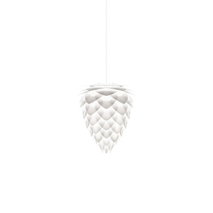 Conia Pendant Light in White/White (11-Inch).