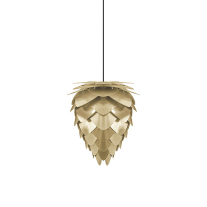 Conia Pendant Light in Brushed Brass/Black (14.2-Inch).