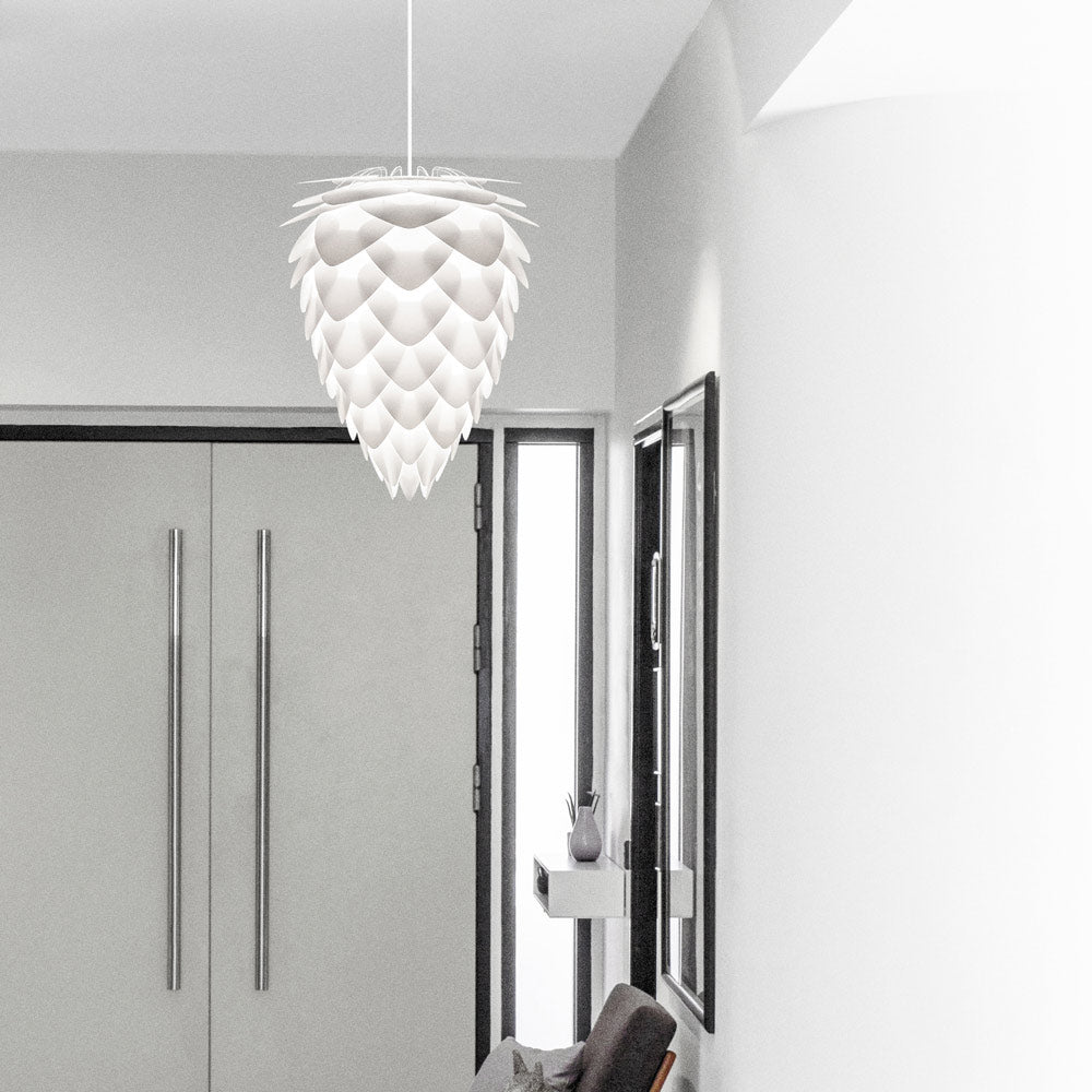 Conia Pendant Light in living room.