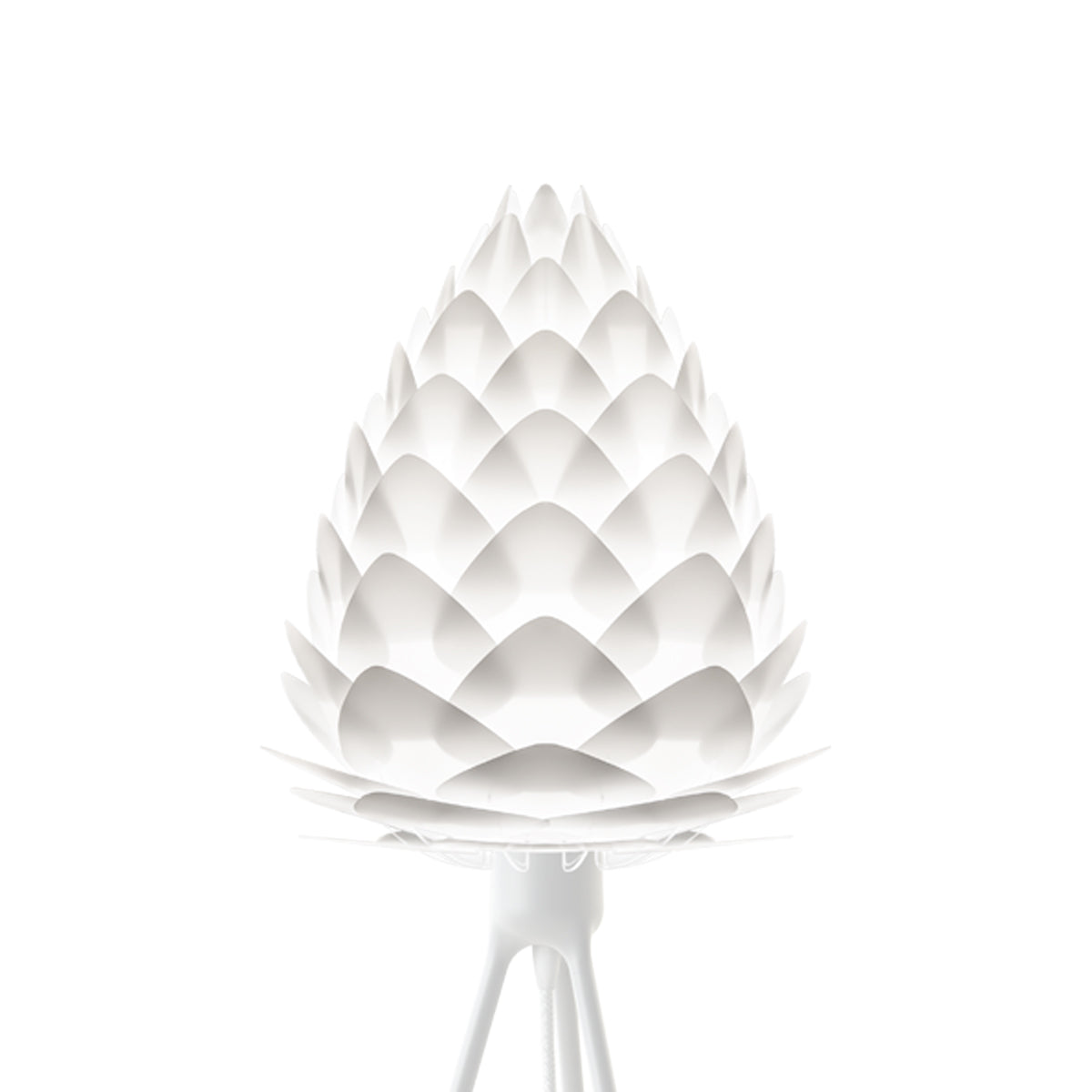 Conia Tripod Table Lamp in Detail.