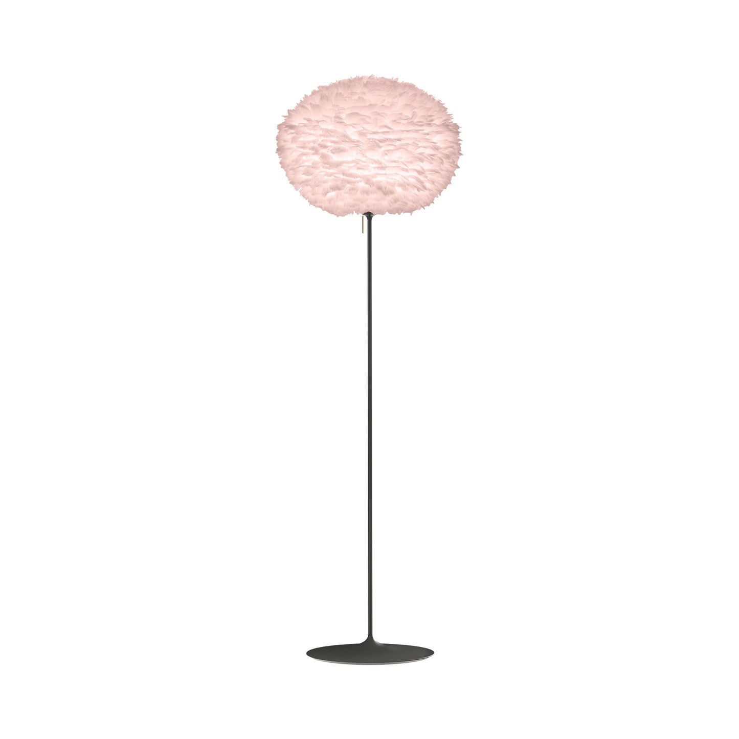 Eos Floor Lamp in Black/Light Rose (70.8-Inch).
