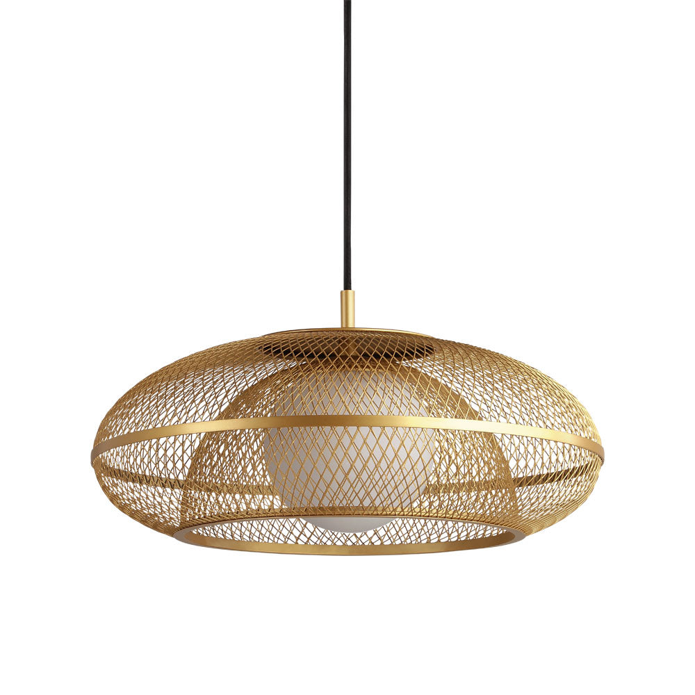 Faraday Pendant Light in Detail.