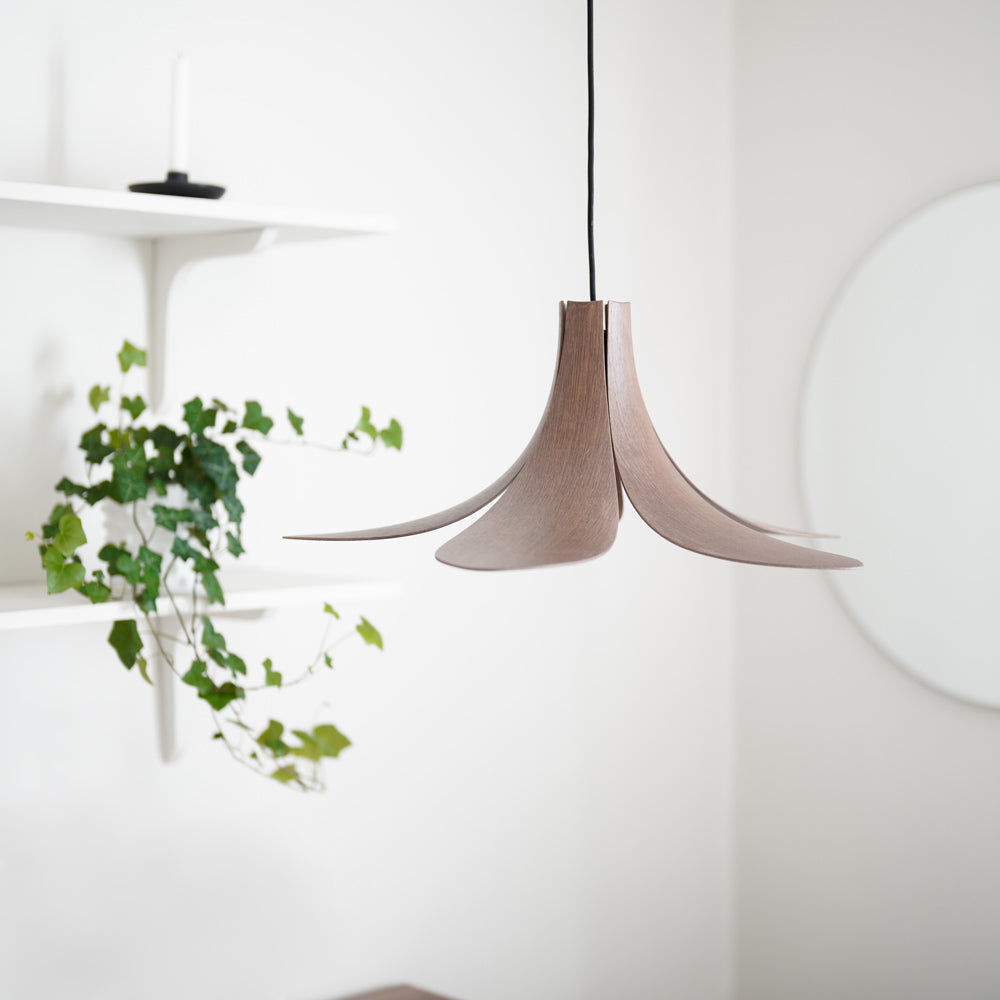 Jazz Pendant Light in living room.