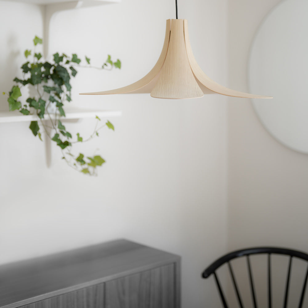 Jazz Pendant Light in living room.