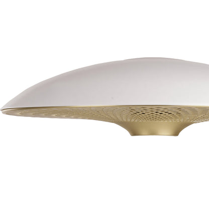 Manta Ray Lamp Shade in Detail.