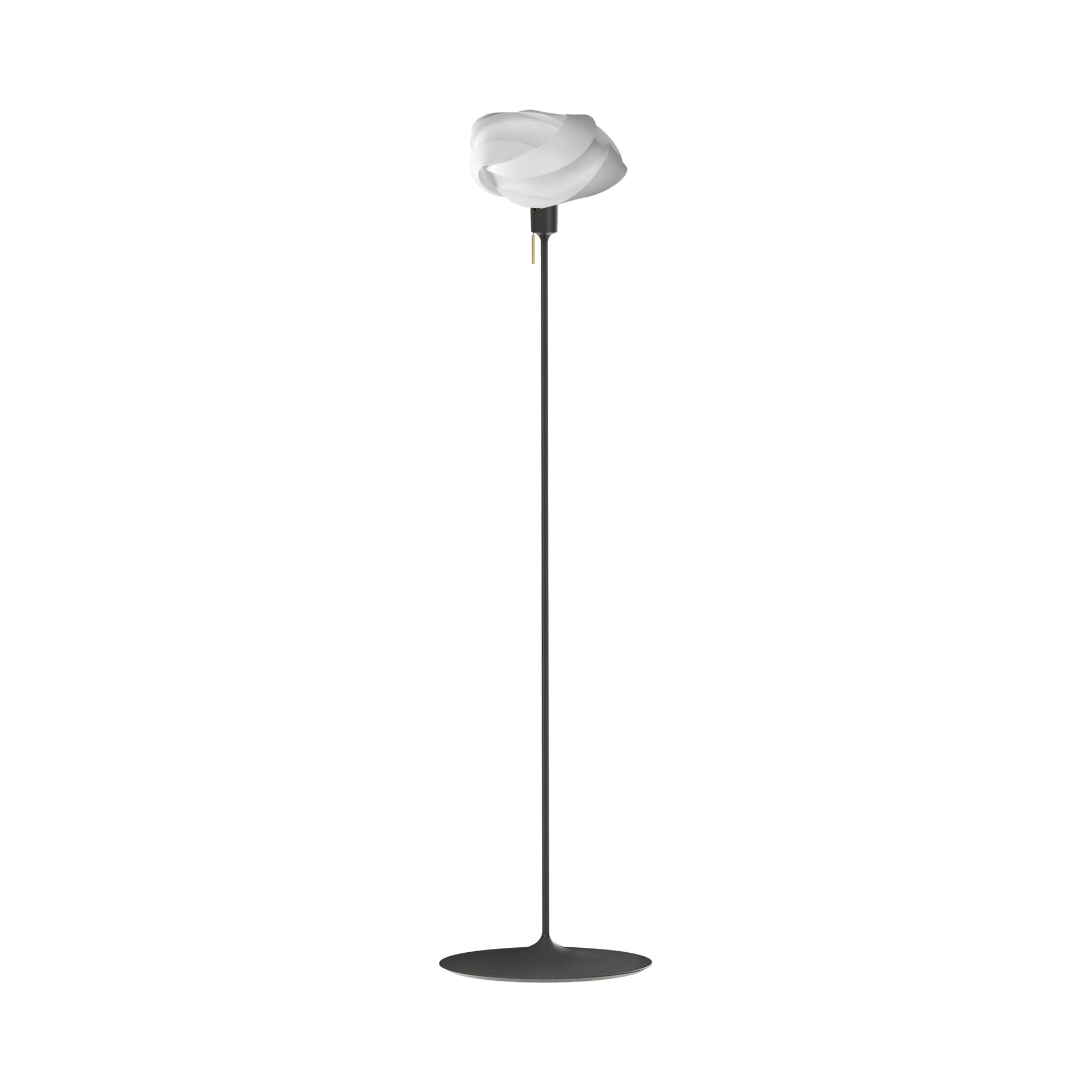 Ribbon Floor Lamp in Black (62.6-Inch).