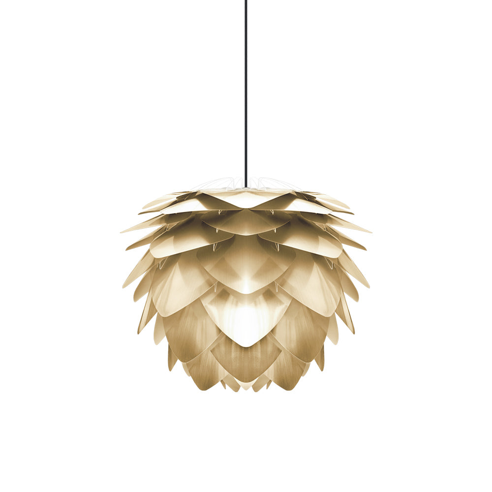 Silvia Pendant Light in Brushed Brass/Black (19.7-Inch).