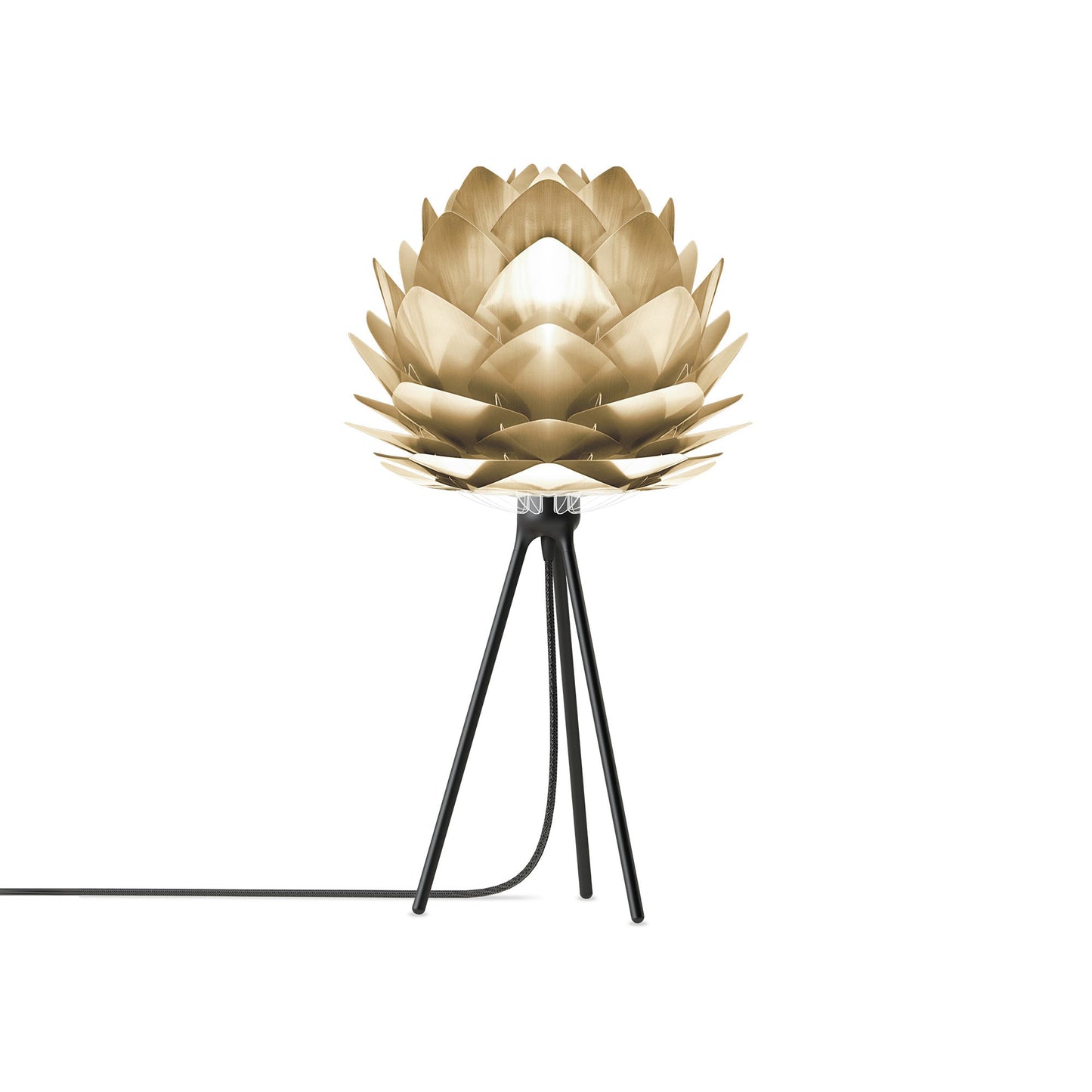 Silvia Tripod Table Lamp in Black/Brushed Brass (19-Inch).
