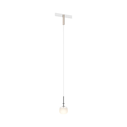 Bind LED Single Tempo Track Pendant Light.