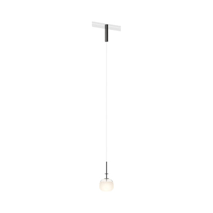 Bind LED Single Tempo Track Pendant Light in Black/Black.