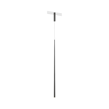 Bind LED Slim Track Pendant Light in Black/Black.
