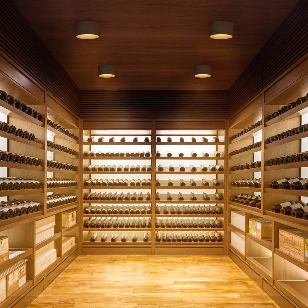 Bind Solo LED Round Flush Mount Ceiling Light in wine cellar.