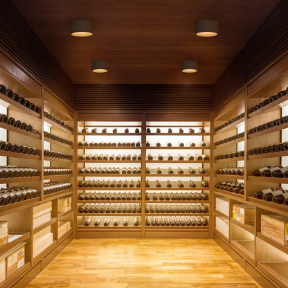 Bind Solo LED Round Flush Mount Ceiling Light in wine cellar.