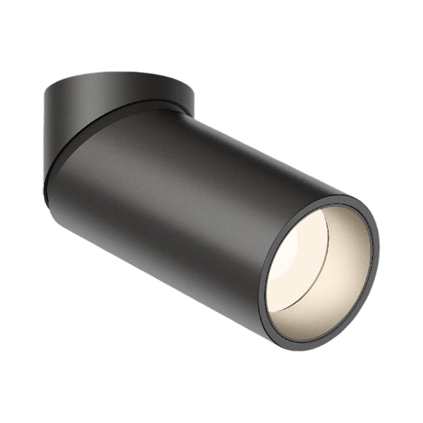 Bind Solo LED Spot Light in Black (16-Degree/1.5"D X 4"H).