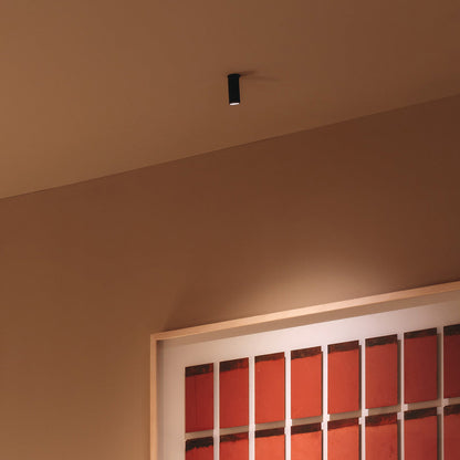 Bind Solo LED Spot Light in Detail.