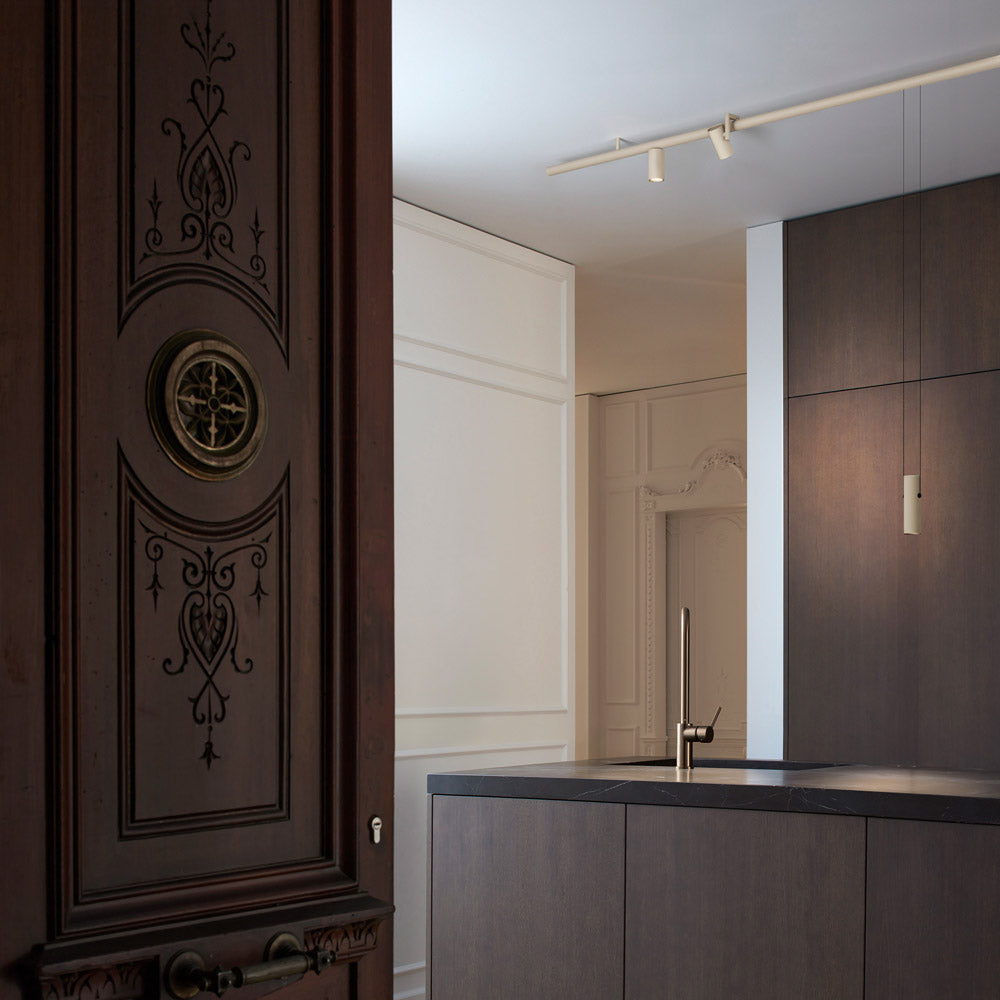 Circus LED Downlight Spot Track Light in kitchen.