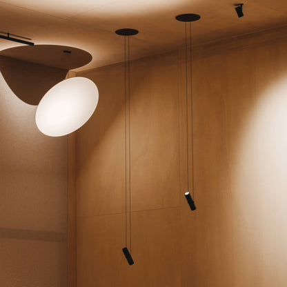 Circus Solo LED Pendant Light in Detail.