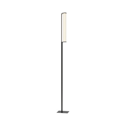 Class Outdoor LED Floor Lamp (98.5-Inch/1-Light).
