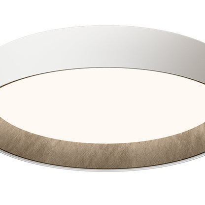 Duo Petra LED Flush Mount Ceiling Light in Detail.